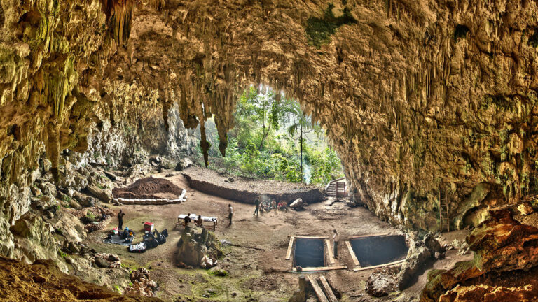 Liang Bua (Hobbit cave)