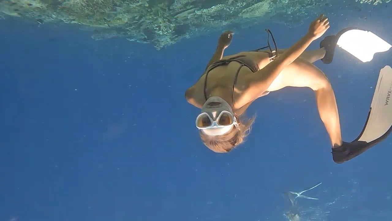 komodo island tour