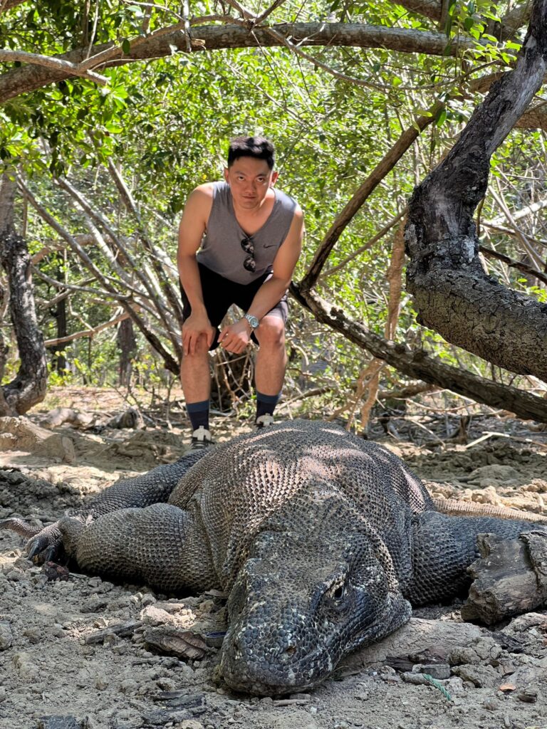 komodo island tour