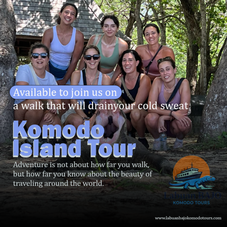 Komodo Tour Policy