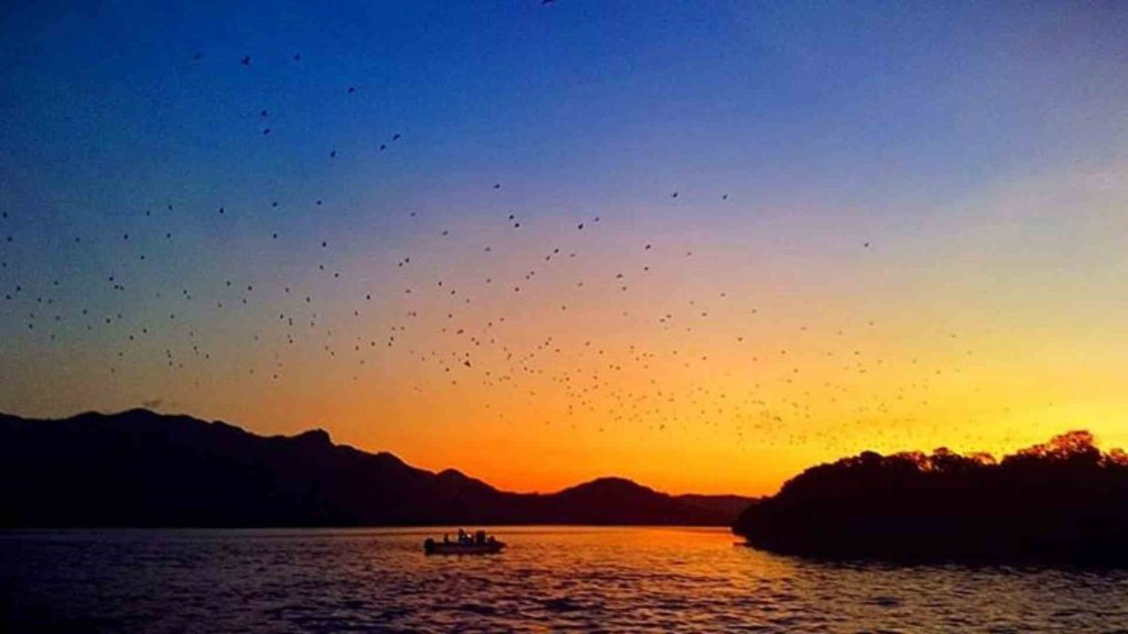 Labuan Bajo sunset trip