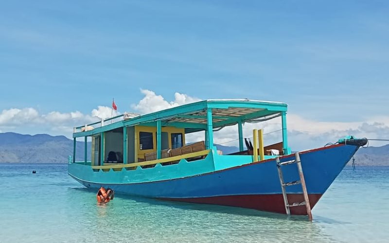 Komodo One Day Tour by Slow Boat