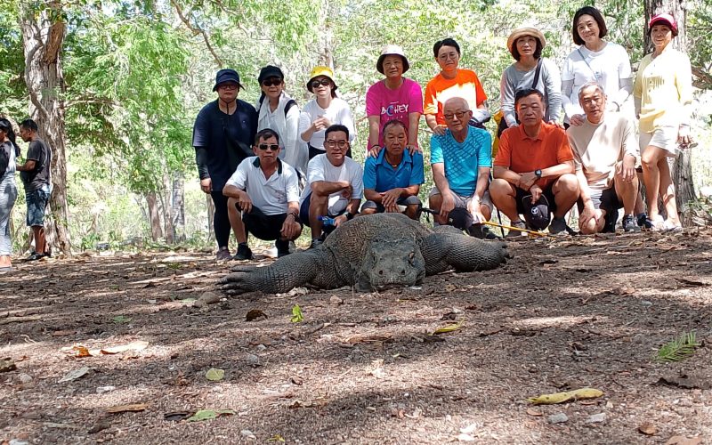 WhatsApp Image 2025-01-07 at 11.28.26_f905b423